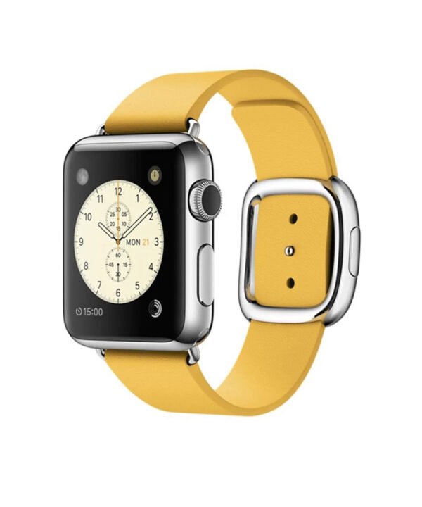 Modern Buckle Apple Watch