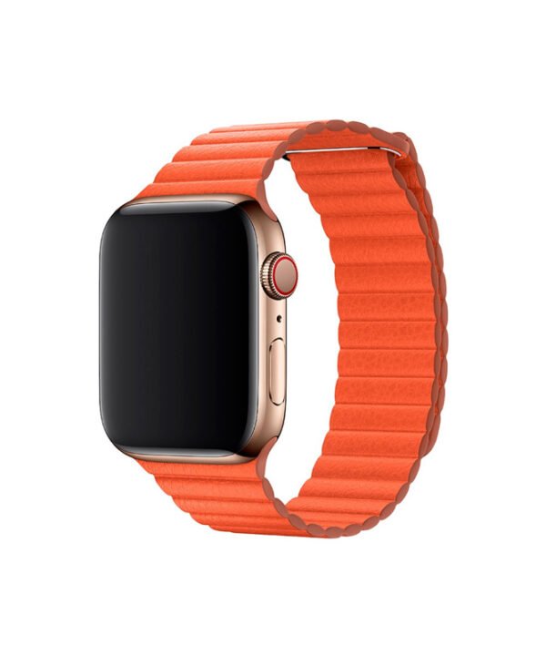 Apple Watch Series 6